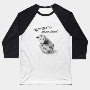 Opossums Are Your Friends Baseball T-Shirt